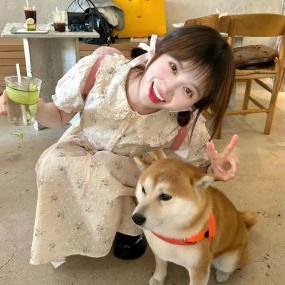 猪标一族